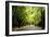 Amsterdam Vondelpark I-Erin Berzel-Framed Photographic Print