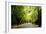 Amsterdam Vondelpark I-Erin Berzel-Framed Photographic Print