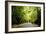 Amsterdam Vondelpark I-Erin Berzel-Framed Photographic Print