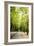 Amsterdam Vondelpark II-Erin Berzel-Framed Photographic Print