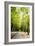 Amsterdam Vondelpark II-Erin Berzel-Framed Photographic Print