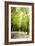 Amsterdam Vondelpark II-Erin Berzel-Framed Photographic Print