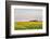 Amtrak Train Passes by Field of Sunflowers in Michigan, North Dakota, USA-Chuck Haney-Framed Photographic Print