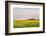 Amtrak Train Passes by Field of Sunflowers in Michigan, North Dakota, USA-Chuck Haney-Framed Photographic Print