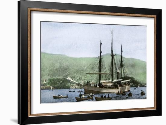 Amundsen's Ship, the "Fram," Used in His South Pole Expedition 1911, Formerly Nansen's Ship-null-Framed Giclee Print