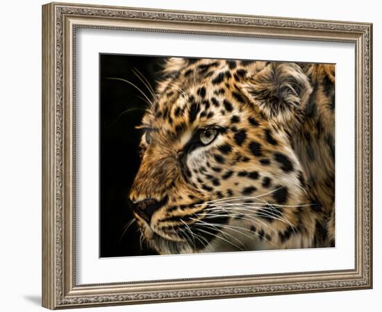 Amur Leopard Copy-Lori Hutchison-Framed Photographic Print