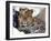 Amur Leopard Endangered Species-null-Framed Photographic Print