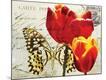 Premium Giclee Print