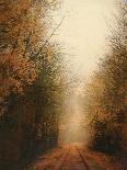 Road of Mysteries I-Amy Melious-Art Print