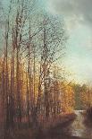 Winter Light I-Amy Melious-Art Print