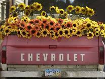 Chevrolet-Amy Sancetta-Framed Premier Image Canvas