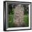 An 11th Century Viking Runestone from Lagga Parish, Uppsala, Sweden, Scandinavia, Europe-Christopher Rennie-Framed Photographic Print