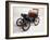 An 1899 Renault 1.75Hp-null-Framed Photographic Print