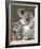 An 8-Month-Old Koala Joey-null-Framed Photographic Print