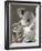 An 8-Month-Old Koala Joey-null-Framed Photographic Print