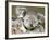 An 8-Month-Old Koala Joey-null-Framed Photographic Print