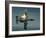 An A-10 Warthog Breaks Over the Pacific Alaska Range Complex During Live Fire Training-Stocktrek Images-Framed Photographic Print