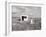 An Abandoned Gas Station-null-Framed Photographic Print