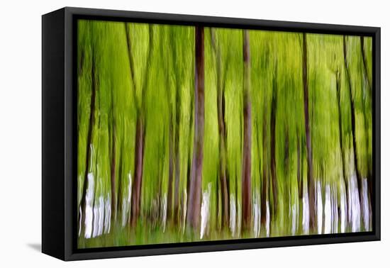 An Abstract Created by Intentional Camera Movement-John Lunt-Framed Premier Image Canvas