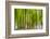 An Abstract Created by Intentional Camera Movement-John Lunt-Framed Photographic Print