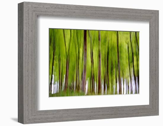 An Abstract Created by Intentional Camera Movement-John Lunt-Framed Photographic Print