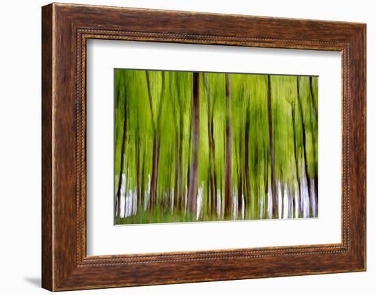 An Abstract Created by Intentional Camera Movement-John Lunt-Framed Photographic Print