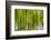 An Abstract Created by Intentional Camera Movement-John Lunt-Framed Photographic Print