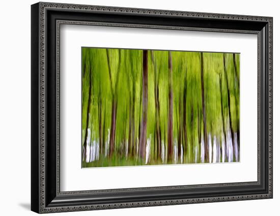 An Abstract Created by Intentional Camera Movement-John Lunt-Framed Photographic Print