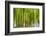 An Abstract Created by Intentional Camera Movement-John Lunt-Framed Photographic Print