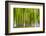 An Abstract Created by Intentional Camera Movement-John Lunt-Framed Photographic Print