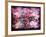 An Abstract Geometric Floral Montage Photographic Layer Work-Alaya Gadeh-Framed Photographic Print