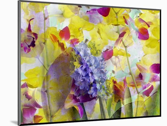 An Abstract Multicolor Floral Montage Photographic Layer Work-Alaya Gadeh-Mounted Photographic Print