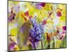 An Abstract Multicolor Floral Montage Photographic Layer Work-Alaya Gadeh-Mounted Photographic Print