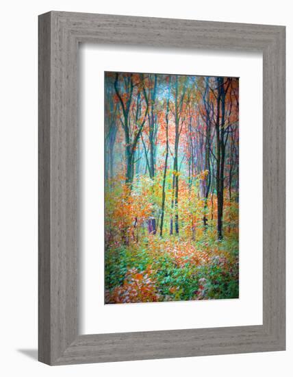 An Abstract Multicolorl Montage from the Forest, Photographic Layer Work-Alaya Gadeh-Framed Photographic Print