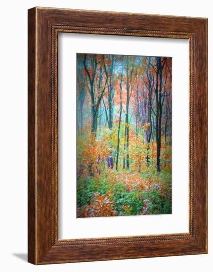 An Abstract Multicolorl Montage from the Forest, Photographic Layer Work-Alaya Gadeh-Framed Photographic Print