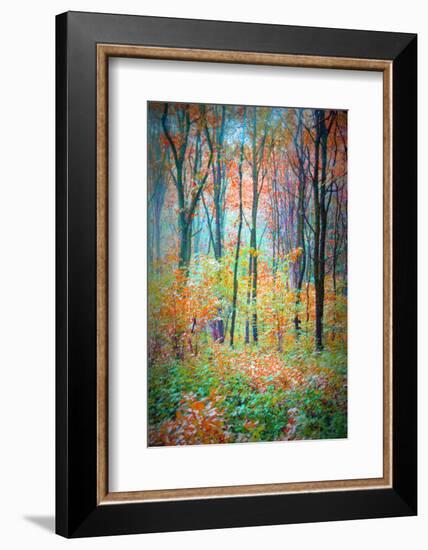 An Abstract Multicolorl Montage from the Forest, Photographic Layer Work-Alaya Gadeh-Framed Photographic Print