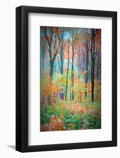 An Abstract Multicolorl Montage from the Forest, Photographic Layer Work-Alaya Gadeh-Framed Photographic Print