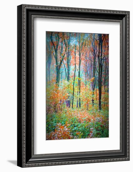 An Abstract Multicolorl Montage from the Forest, Photographic Layer Work-Alaya Gadeh-Framed Photographic Print