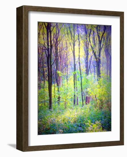 An Abstract Multicolorl Montage from the Forest, Photographic Layer Work-Alaya Gadeh-Framed Photographic Print