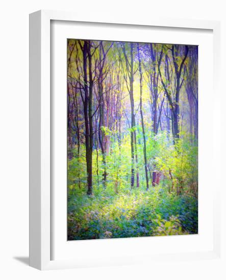 An Abstract Multicolorl Montage from the Forest, Photographic Layer Work-Alaya Gadeh-Framed Photographic Print