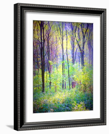 An Abstract Multicolorl Montage from the Forest, Photographic Layer Work-Alaya Gadeh-Framed Photographic Print