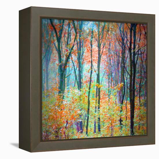 An Abstract Multicolorl Montage from the Forest, Photographic Layer Work-Alaya Gadeh-Framed Premier Image Canvas