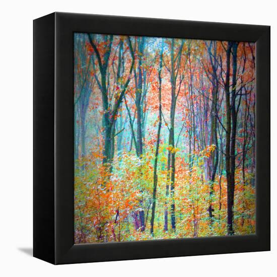 An Abstract Multicolorl Montage from the Forest, Photographic Layer Work-Alaya Gadeh-Framed Premier Image Canvas