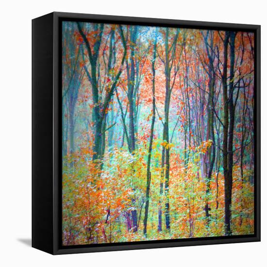 An Abstract Multicolorl Montage from the Forest, Photographic Layer Work-Alaya Gadeh-Framed Premier Image Canvas