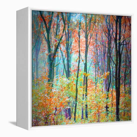 An Abstract Multicolorl Montage from the Forest, Photographic Layer Work-Alaya Gadeh-Framed Premier Image Canvas