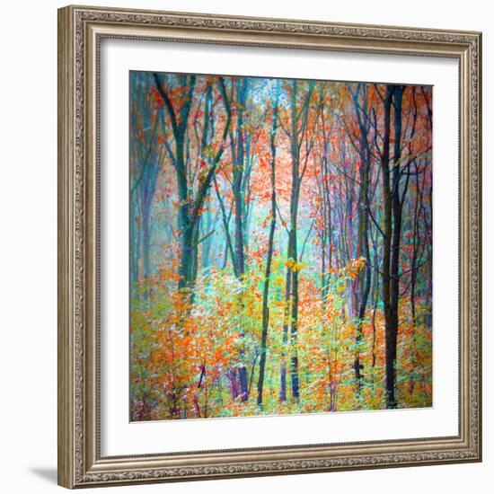 An Abstract Multicolorl Montage from the Forest, Photographic Layer Work-Alaya Gadeh-Framed Photographic Print