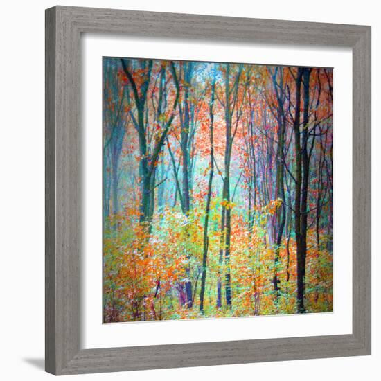 An Abstract Multicolorl Montage from the Forest, Photographic Layer Work-Alaya Gadeh-Framed Photographic Print