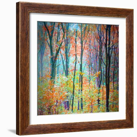 An Abstract Multicolorl Montage from the Forest, Photographic Layer Work-Alaya Gadeh-Framed Photographic Print