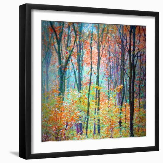 An Abstract Multicolorl Montage from the Forest, Photographic Layer Work-Alaya Gadeh-Framed Photographic Print