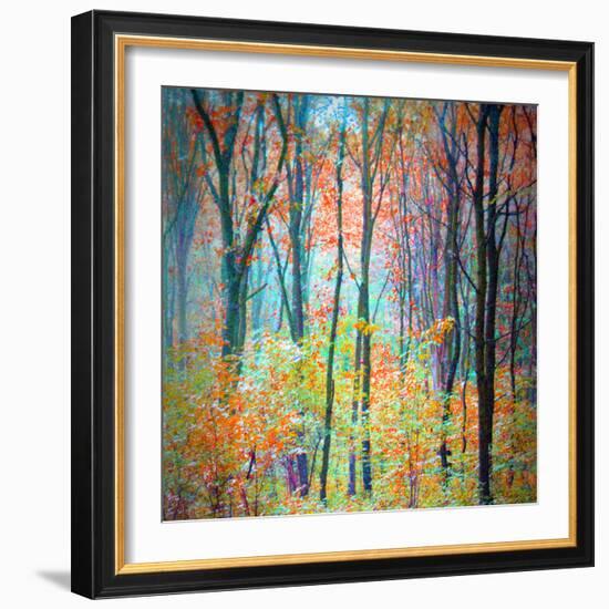 An Abstract Multicolorl Montage from the Forest, Photographic Layer Work-Alaya Gadeh-Framed Photographic Print